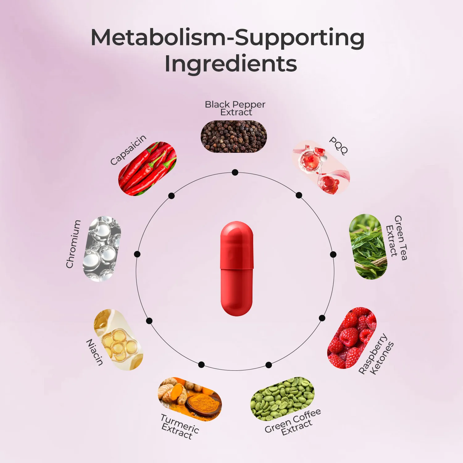 AMPK METABOLIC SUPPORT - Image 3