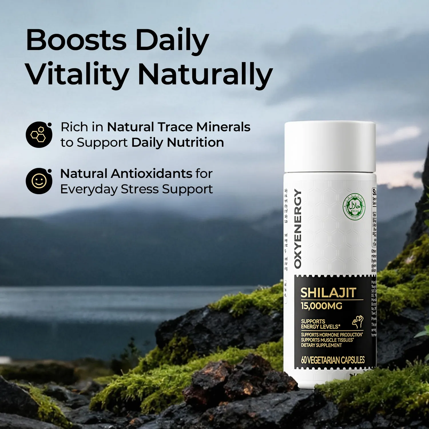 ASHWAGANDHA & SHILAJIT - Image 8