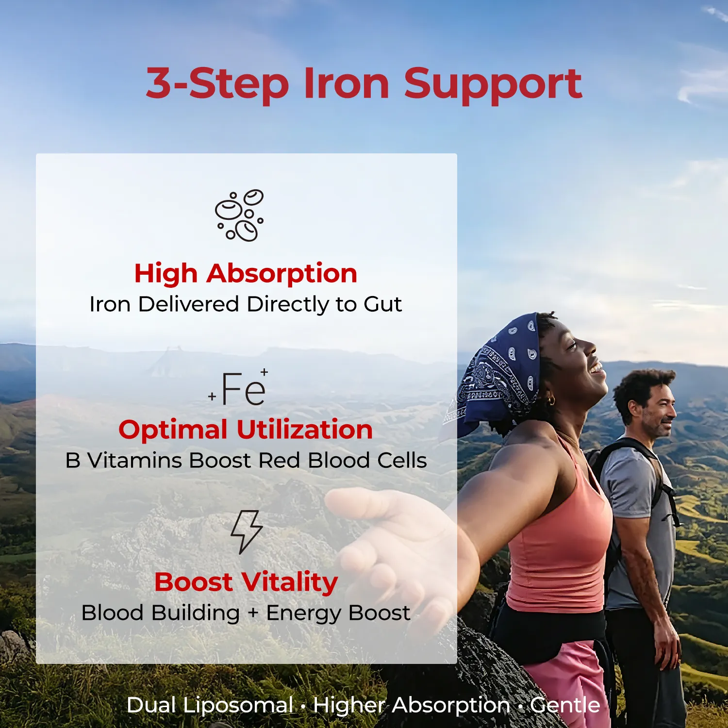Daily Lipo-Iron - Gentle Iron Supplement - Image 2
