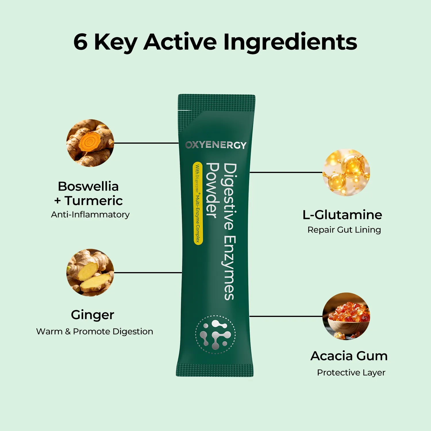 Digestive Enzymes Powder with DigeZyme® Multi-Enzyme Complex - Image 4
